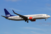 SAS - Scandinavian Airlines Boeing 737-86N (LN-RGC) at  Copenhagen - Kastrup, Denmark