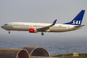 SAS - Scandinavian Airlines Boeing 737-86N (LN-RGC) at  Gran Canaria, Spain