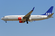 SAS - Scandinavian Airlines Boeing 737-86N (LN-RGD) at  Barcelona - El Prat, Spain