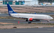 SAS - Scandinavian Airlines Boeing 737-86N (LN-RGD) at  Gran Canaria, Spain