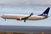 SAS - Scandinavian Airlines Boeing 737-86N (LN-RGD) at  Gran Canaria, Spain