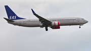 SAS - Scandinavian Airlines Boeing 737-86N (LN-RGD) at  London - Heathrow, United Kingdom