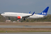 SAS - Scandinavian Airlines Boeing 737-86N (LN-RGF) at  Stockholm - Arlanda, Sweden