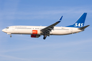SAS - Scandinavian Airlines Boeing 737-86N (LN-RGF) at  Hamburg - Fuhlsbuettel (Helmut Schmidt), Germany