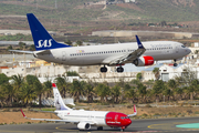 SAS - Scandinavian Airlines Boeing 737-86N (LN-RGF) at  Gran Canaria, Spain