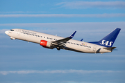 SAS - Scandinavian Airlines Boeing 737-86N (LN-RGG) at  Dusseldorf - International, Germany
