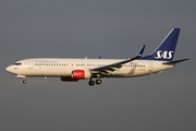 SAS - Scandinavian Airlines Boeing 737-86N (LN-RGG) at  Hamburg - Fuhlsbuettel (Helmut Schmidt), Germany