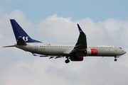 SAS - Scandinavian Airlines Boeing 737-86N (LN-RGG) at  London - Heathrow, United Kingdom