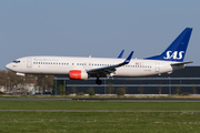 SAS - Scandinavian Airlines Boeing 737-86N (LN-RGH) at  Amsterdam - Schiphol, Netherlands
