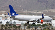 SAS - Scandinavian Airlines Boeing 737-86N (LN-RGH) at  Gran Canaria, Spain