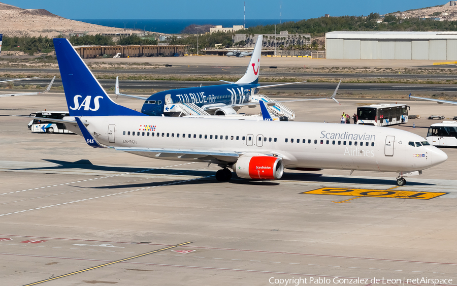 SAS - Scandinavian Airlines Boeing 737-86N (LN-RGH) | Photo 335687