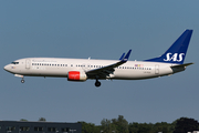 SAS - Scandinavian Airlines Boeing 737-86N (LN-RGH) at  Amsterdam - Schiphol, Netherlands
