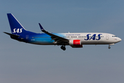 SAS - Scandinavian Airlines Boeing 737-86N (LN-RGI) at  Stockholm - Arlanda, Sweden