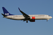 SAS - Scandinavian Airlines Boeing 737-86N (LN-RGI) at  Copenhagen - Kastrup, Denmark