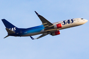 SAS - Scandinavian Airlines Boeing 737-86N (LN-RGI) at  Frankfurt am Main, Germany