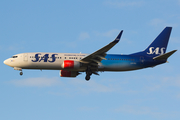 SAS - Scandinavian Airlines Boeing 737-86N (LN-RGI) at  Amsterdam - Schiphol, Netherlands