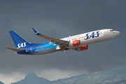 SAS - Scandinavian Airlines Boeing 737-86N (LN-RGI) at  Tenerife Sur - Reina Sofia, Spain