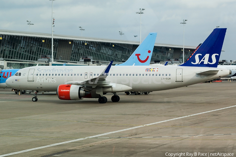 SAS - Scandinavian Airlines Airbus A320-251N (LN-RGM) | Photo 374316