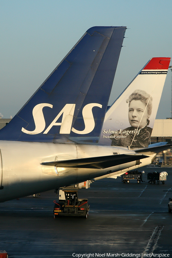 SAS - Scandinavian Airlines Airbus A321-232 (LN-RKK) | Photo 4181