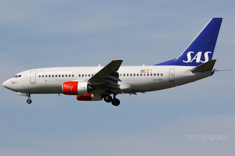 SAS - Scandinavian Airlines Boeing 737-783 (LN-RNO) at  Amsterdam - Schiphol, Netherlands