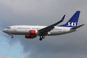 SAS - Scandinavian Airlines Boeing 737-783 (LN-RNW) at  Frankfurt am Main, Germany