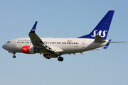 SAS - Scandinavian Airlines Boeing 737-783 (LN-RNW) at  London - Heathrow, United Kingdom