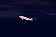 SAS - Scandinavian Airlines Boeing 737-683 (LN-RPA) at  Copenhagen - Kastrup, Denmark