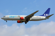 SAS - Scandinavian Airlines Boeing 737-883 (LN-RPM) at  Barcelona - El Prat, Spain