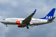 SAS - Scandinavian Airlines Boeing 737-783 (LN-RRA) at  London - Heathrow, United Kingdom