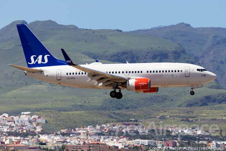 SAS - Scandinavian Airlines Boeing 737-783 (LN-RRA) | Photo 309057