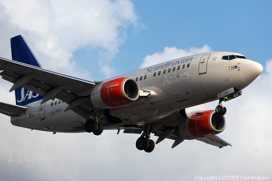 SAS - Scandinavian Airlines Boeing 737-683 (LN-RRD) | Photo 52760