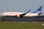 SAS - Scandinavian Airlines Boeing 737-85P (LN-RRF) at  Amsterdam - Schiphol, Netherlands