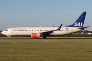 SAS - Scandinavian Airlines Boeing 737-85P (LN-RRF) at  Amsterdam - Schiphol, Netherlands