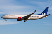 SAS - Scandinavian Airlines Boeing 737-883 (LN-RRH) at  Barcelona - El Prat, Spain