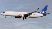 SAS - Scandinavian Airlines Boeing 737-883 (LN-RRH) at  Frankfurt am Main, Germany