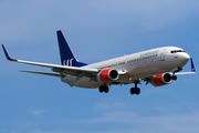 SAS - Scandinavian Airlines Boeing 737-883 (LN-RRJ) at  Copenhagen - Kastrup, Denmark
