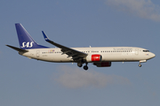 SAS - Scandinavian Airlines Boeing 737-883 (LN-RRJ) at  London - Heathrow, United Kingdom
