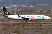 SAS - Scandinavian Airlines Boeing 737-883 (LN-RRL) at  Tenerife Sur - Reina Sofia, Spain