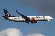 SAS - Scandinavian Airlines Boeing 737-883 (LN-RRL) at  Hamburg - Fuhlsbuettel (Helmut Schmidt), Germany