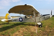 (Private) Piper PA-18-105 Super Cub (LN-RTH) at  Bienenfarm, Germany