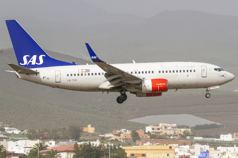 SAS - Scandinavian Airlines Boeing 737-705 (LN-TUK) | Photo 136026