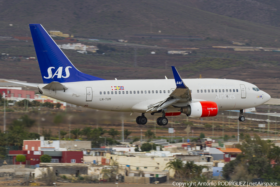 SAS - Scandinavian Airlines Boeing 737-705 (LN-TUM) | Photo 152117