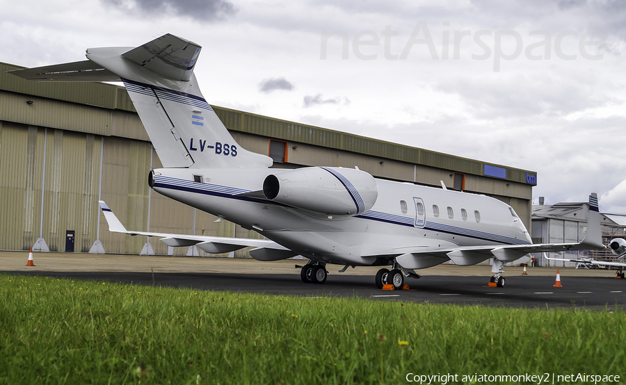 (Private) Bombardier BD-100-1A10 Challenger 300 (LV-BSS) | Photo 92794