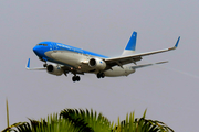 Aerolineas Argentinas Boeing 737-8SH (LV-FVN) at  Sao Paulo - Guarulhos - Andre Franco Montoro (Cumbica), Brazil
