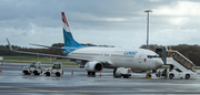 Luxair Boeing 737-86J (LX-LBB) at  Luxembourg - Findel, Luxembourg