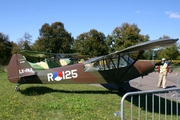 (Private) Piper PA-18-135 Super Cub (LX-PAA) at  Luxembourg - Findel, Luxembourg