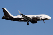 Global Jet Luxembourg Airbus A319-153N CJ (LX-TCB) at  New York - John F. Kennedy International, United States