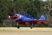 (Private) Yakovlev Yak-52 (LY-APW) at  Bienenfarm, Germany