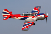 (Private) Yakovlev Yak-52 (LY-AWB) at  Rendsburg - Schachtholm, Germany
