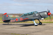 (Private) Yakovlev Yak-52TW (LY-LSJ) at  Itzehoe - Hungriger Wolf, Germany